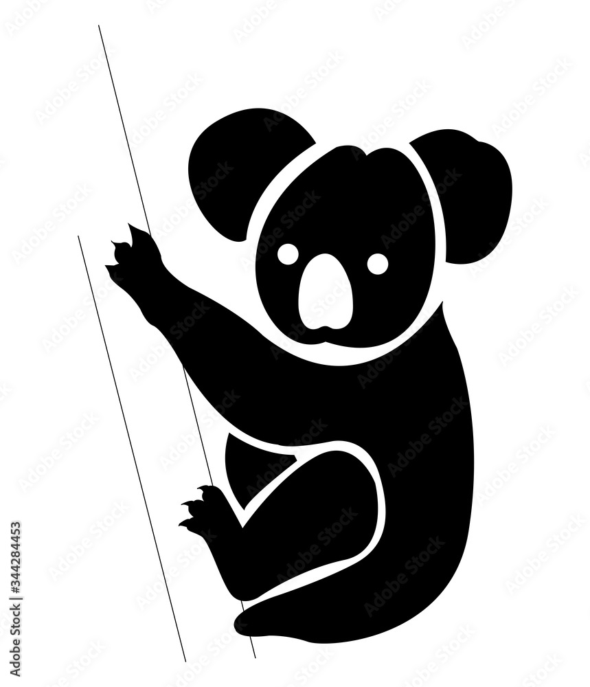 Φωτογραφία Koala. Oso koala.