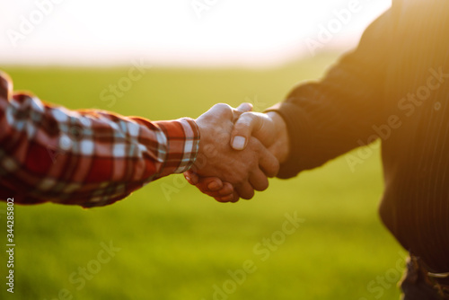 Obraz na płótnie Handshake two farmer on the background of a wheat field at sunset