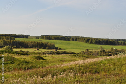 Russian open spaces. Summer landscape in Western Siberia