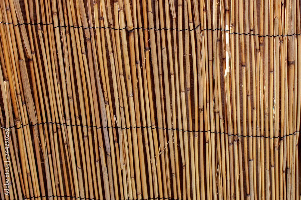 Tropical fence made of reeds Tropical fence made of reeds