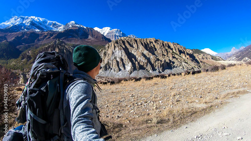 A man taking a selfie while trekking along Annapurna Circuit in Nepal. He is enjoying the view and trek. A heard of yaks grazing on Himalayan meadow in the back. Snow caped mountains in the back