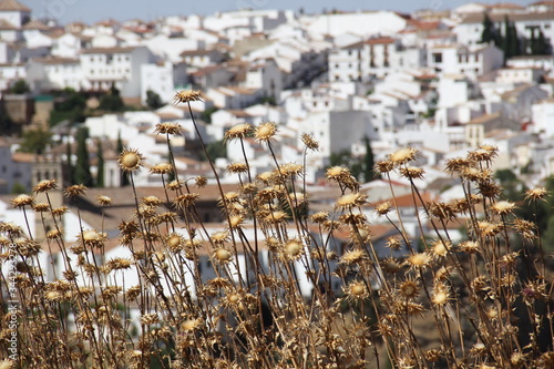 Ronda, Spanien