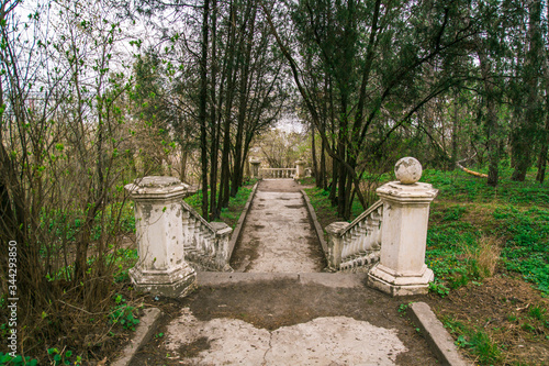 
Old abandoned forest ranger in the forest