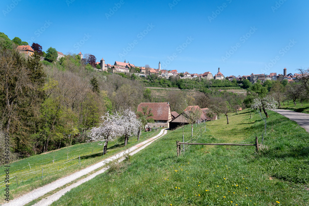 Naklejka premium Taubertal bei Rothenburg / Tauber valley at Rothenburg