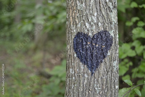 Heart on Tree