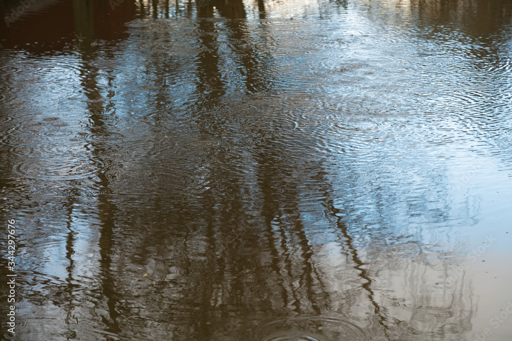 Beautiful reflection in the river of trees. Spring day Beautiful reflection in the river of trees. Spring day