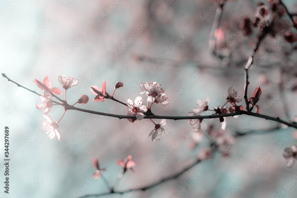 Frühling 2 Frühling 2