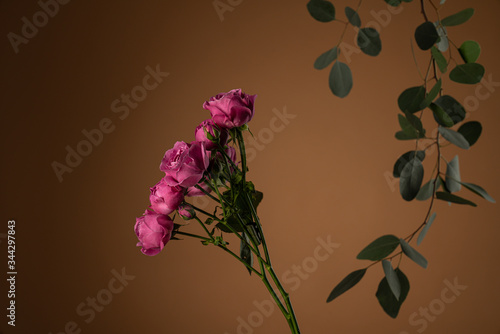 Flowers composition. Eucalyptus and branch of Floribunda Rose