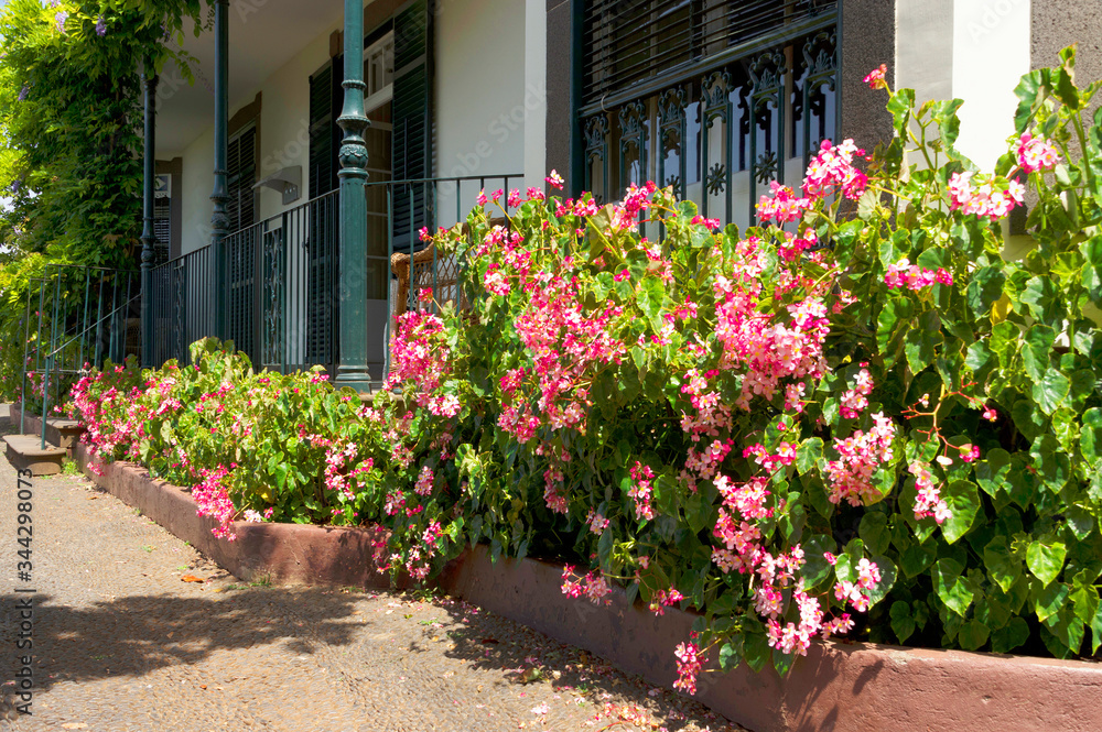 Botanical garden in Funchal, Madeira, Portugal, Europe