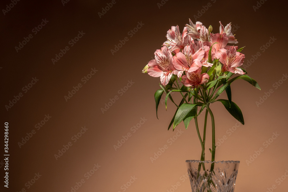 Little pink alstroemeria flowers in vase isolated on brown background