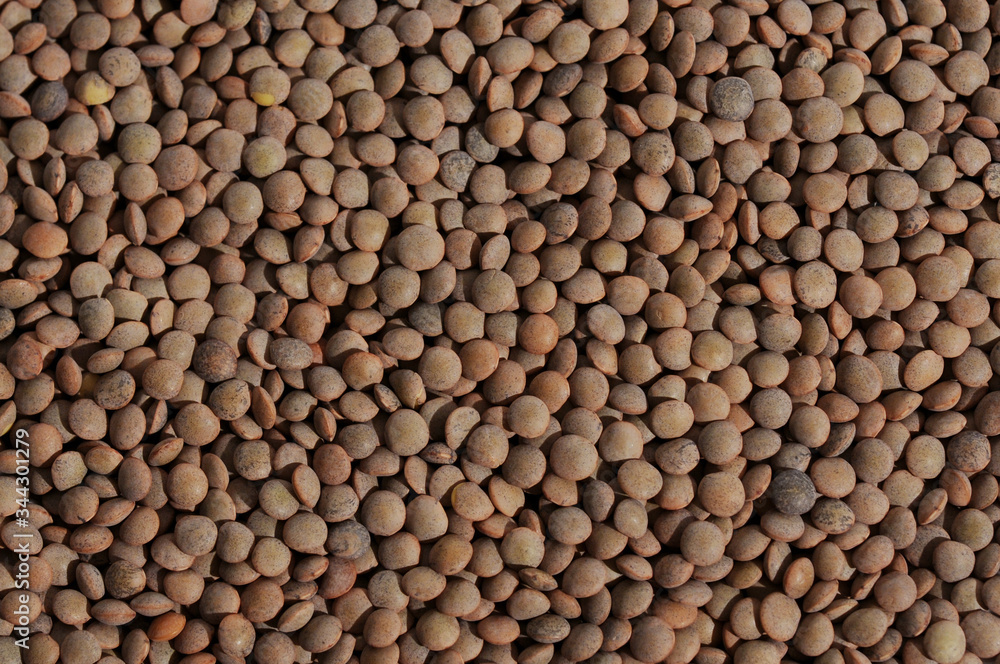 Close up of a bunch of brown lentils as texture background Close up of a bunch of brown lentils as texture background
