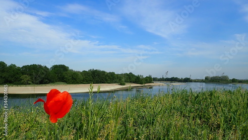 Photos la Loire à qui traverse le Loiret