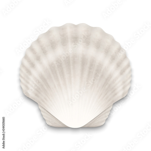 Vector 3d Realistic White Closed Scallop Pearl Seashell Icon Closeup Isolated on White Background. Design Template. Top View