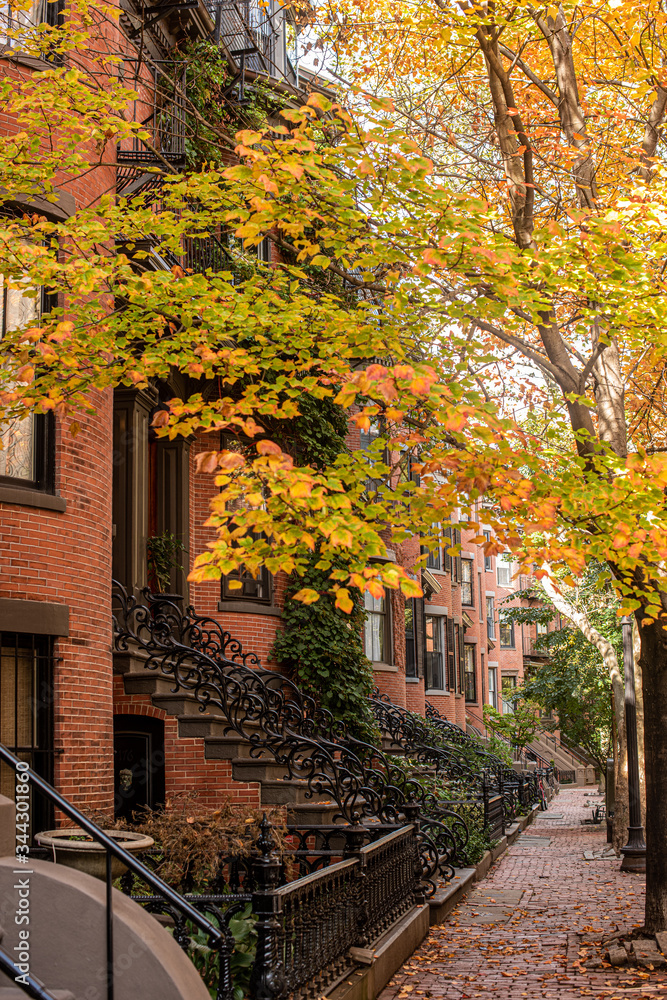 Homes in a neighborhood in Boston in the fall 
