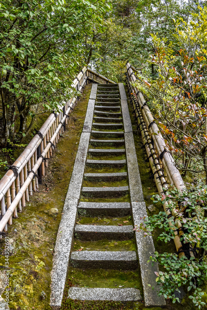 Stone steps with bamboo railing leading uphill in Kyoto, Japan.