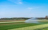 Watering plants with an automatic irrigation system on a green flowering farm field in the Netherlands. Summer landscape with a rainbow effect in the spray of water.