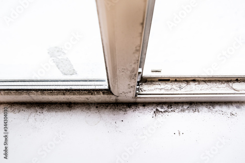 mold in the corner of the window. © burdun