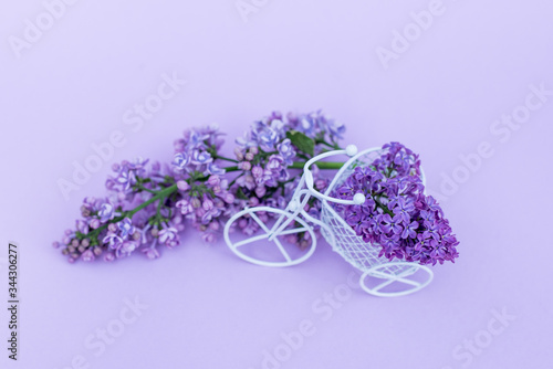 Fototapeta Naklejka Na Ścianę i Meble -  A small bicycle with a bouquet of flowers. Lilac branch in a vintage bike. Delivery in color. Lilac branches. Pink and purple flowers on a lilac background. Place for inscription