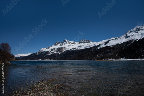 Silvaplana lake in Engadine in Switzerland.