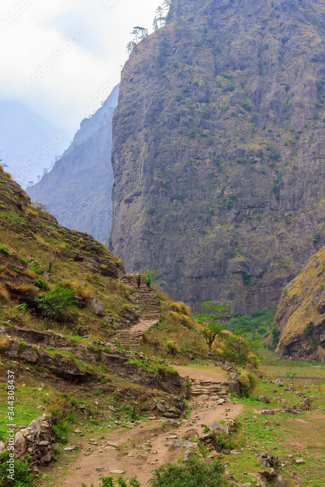 Path in the Himalayas in Nepal, going up Path in the Himalayas in Nepal, going up