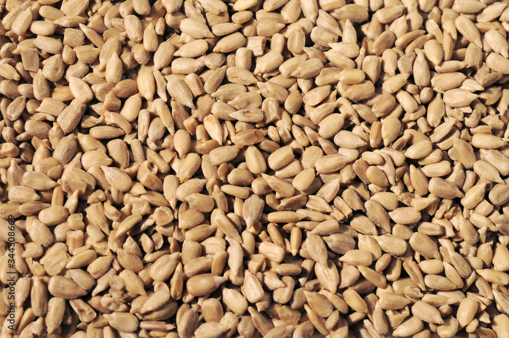Sunflower seeds close up background Sunflower seeds close up background