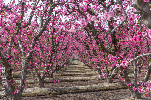 Between The Rows