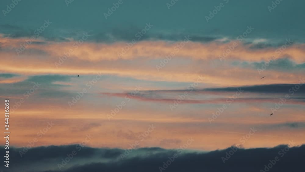Romantic bright sunset with flying birds on the sky, pinky clouds, paradise in nature Romantic bright sunset with flying birds on the sky, pinky clouds, paradise in nature