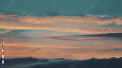 Romantic bright sunset with flying birds on the sky, pinky clouds, paradise in nature