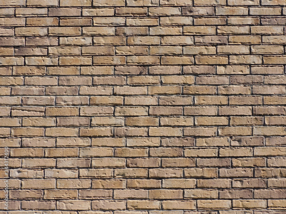 Fototapeta premium brick wall background