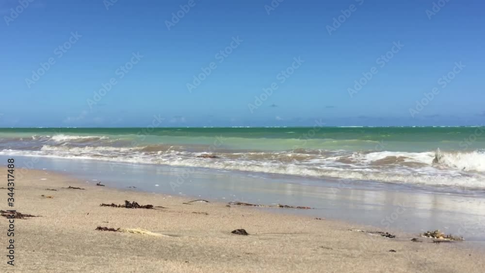 Beautiful beach in São Miguel dos Milagres in Alagoas state, Brazil Beautiful beach in São Miguel dos Milagres in Alagoas state, Brazil