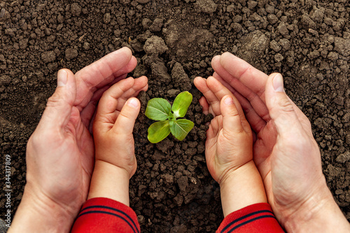 A young man and a child hold a small tree in their hands. Concept of world environment day. Four hands hold a light green tree. Father and son plant a plant