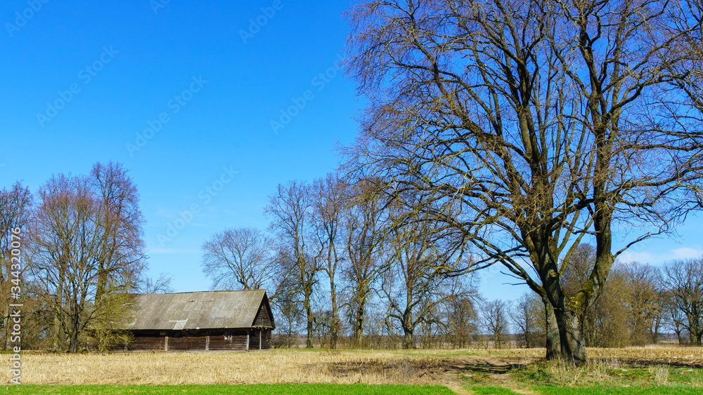 Horizontal image of an old rustic abandoned house and trees on nature background. Countryside concept. Space for text. Horizontal image of an old rustic abandoned house and trees on nature background. Countryside concept. Space for text.