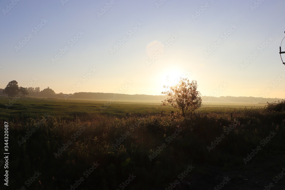 sunrise in the field sunrise in the field