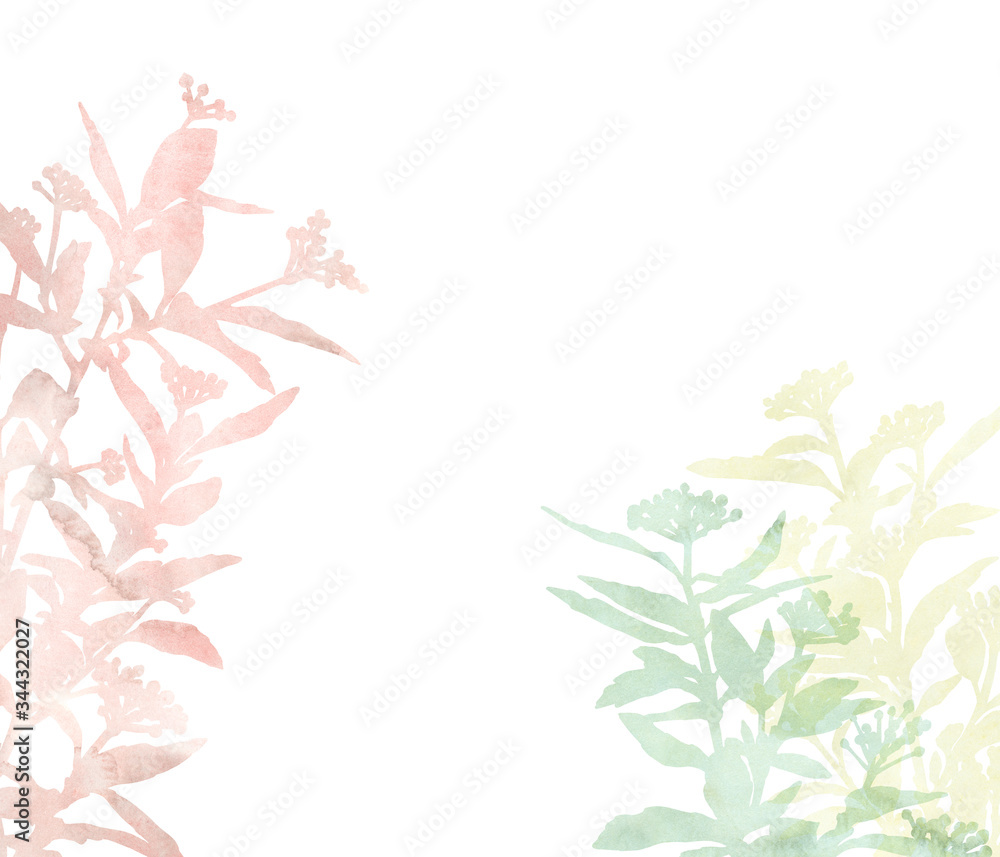 Beautiful flowers isolated on a white background. Decorative image for creative design of cards, invitations, banners, websites and posters. Hand painted picture. Watercolour plants. Soft colours.