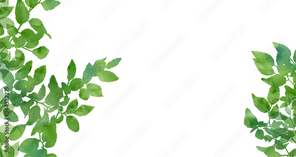 Beautiful watercolour branches isolated on a white background. Decorative image for creative design of cards, invitations, banners, websites, posters, etc. Hand painted illustration. Spring plants.