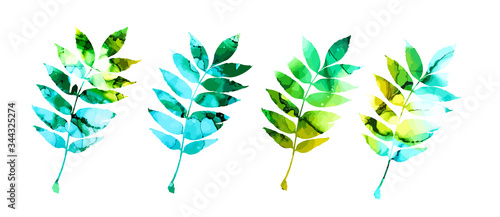 A set of picturesque ash leaves. Mixed media. Vector illustration