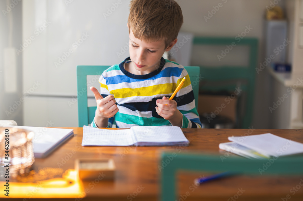 Young Boy learning at Home Young Boy learning at Home