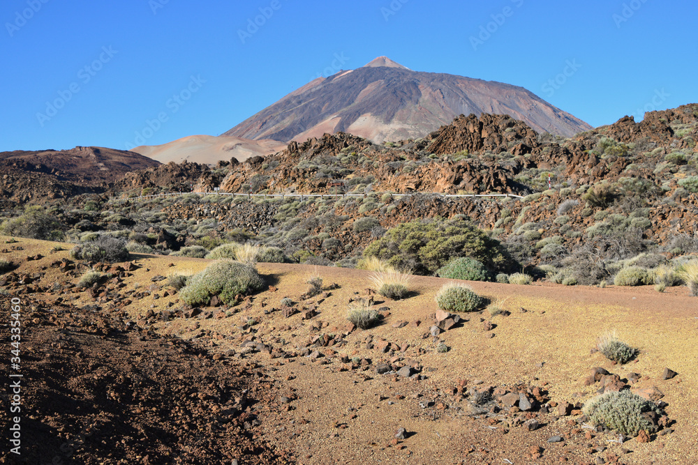 Zastygła lawa u stóp wulkanu Teide na Teneryfie. 