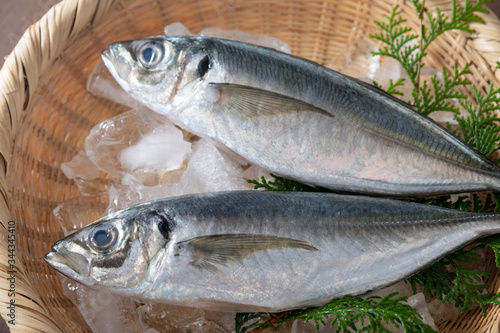 Aji, japanese whole raw horse mackerel