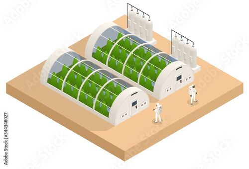 Isometric Mars Colonization, Biological terraforming, Paraterraforming, Adapting humans on Mars. Astronautics and space technology. Geo capsyles.