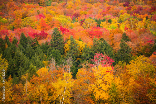 Vibrant Fall Foliage in Stowe Vermont, Abstract image of fall colors on mountain © Somsubhra