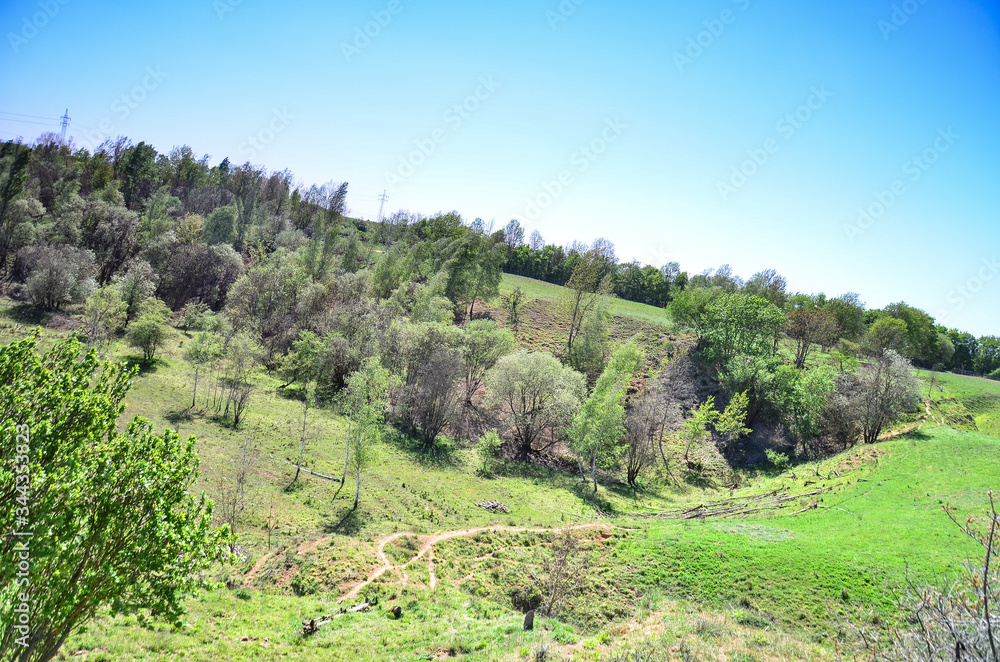 landscape with trees and mountains, National Park, Weilbach, Germany landscape with trees and mountains, National Park, Weilbach, Germany
