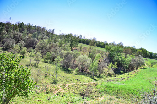 landscape with trees and mountains, National Park, Weilbach, Germany photo