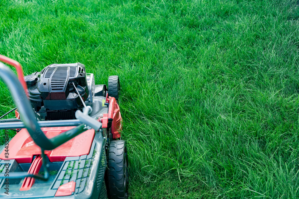 Lawn mower cutting green grass in backyard, mowing lawn copy space Lawn mower cutting green grass in backyard, mowing lawn copy space