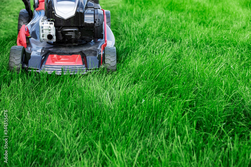Lawn mower cutting green grass in backyard, mowing lawn copy space