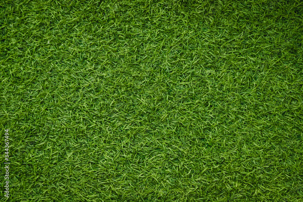 Obraz premium Green artificial grass natural
