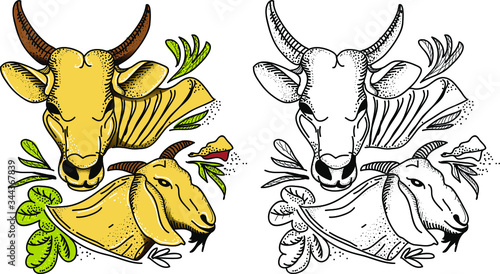 Fresh Meat of Cow and Goat Vector photo