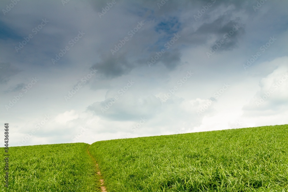 Path uphill through lush green grass to horizon with cloudy sky Path uphill through lush green grass to horizon with cloudy sky