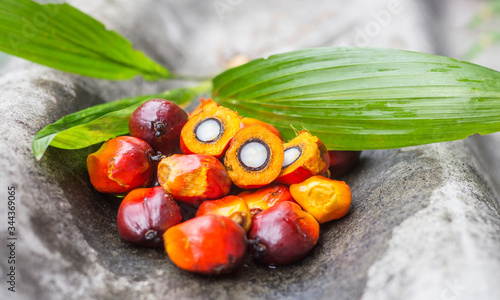 Palm oil from the garden is extracted into palm oil products.