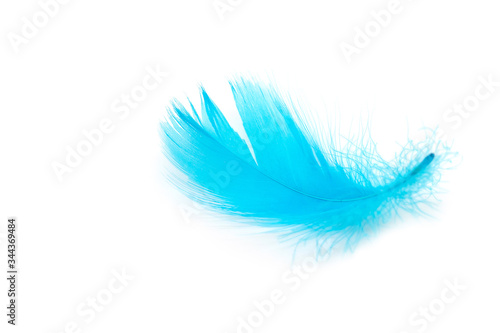 Beautiful blue feather © pandaclub23